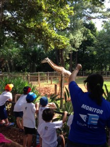 Zoo de Americana